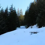 Berloga-sinevir Inn Synevyrs'ka Polyana
