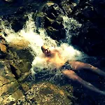 Berloga-sinevir *