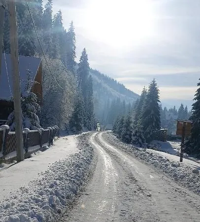 Berloga-sinevir Herberg