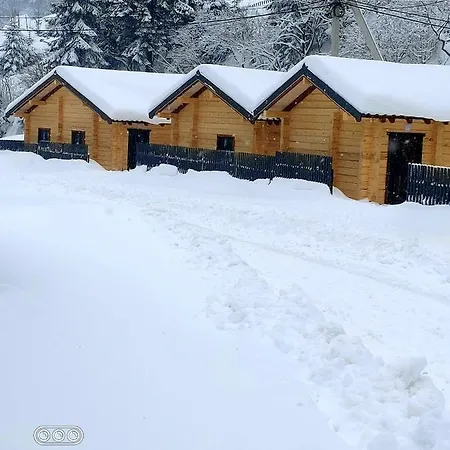 Berloga-sinevir * Synevyrsʼka Polyana