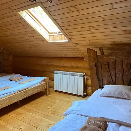 Berloga-sinevir Synevyrsʼka Polyana