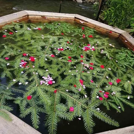 Berloga-sinevir * Synevyrsʼka Polyana