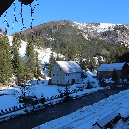 Berloga-sinevir Herberg