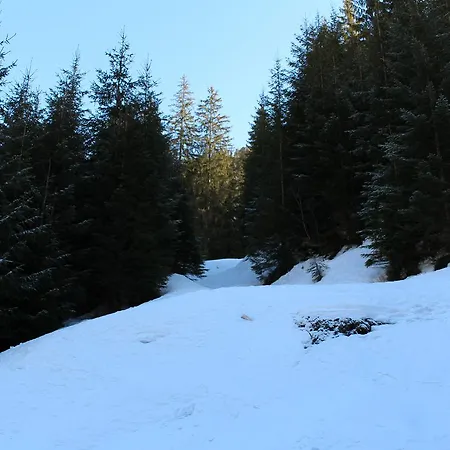 Berloga-sinevir Inn Synevyrs'ka Polyana