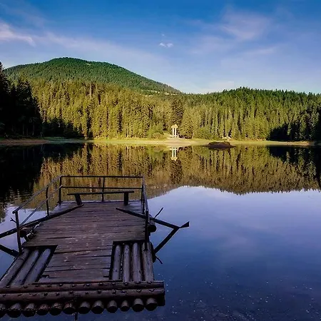 Berloga-sinevir Mini-hôtel *