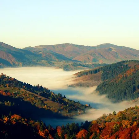 Berloga-sinevir Herberg Synevyrsʼka Polyana