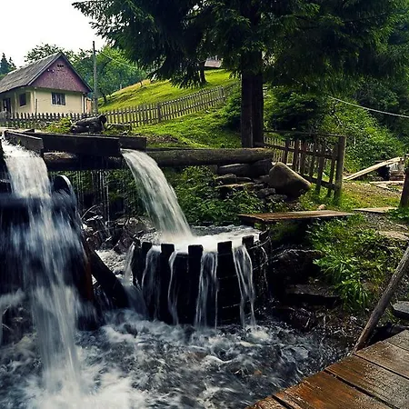 Berloga-sinevir * Synevyrsʼka Polyana