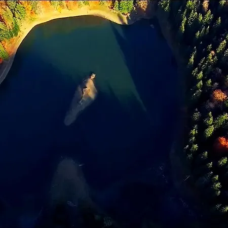 Berloga-sinevir Herberg Synevyrsʼka Polyana